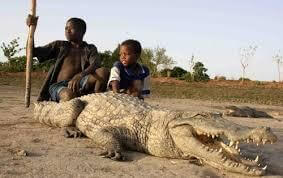 Mares aux crocodiles sacrés de Sabou